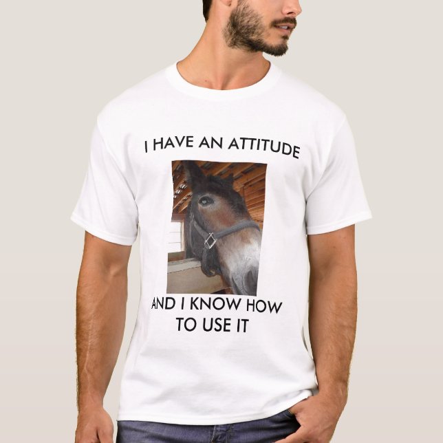 Camiseta Tshirt do Brutus (Frente)