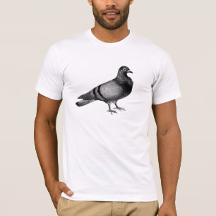 Camiseta Tshirt do pombo do vintage