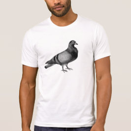 Camiseta Tshirt do pombo do vintage