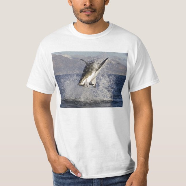 Camiseta tubarão (Frente)
