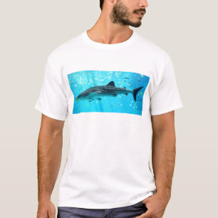 Camiseta Tubarão de baleia azul legal do na moda chique da