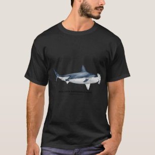 Camiseta TUBARÃO-MARTelo DE LEI-Lewini (nome)