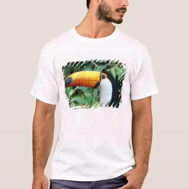 Camiseta Tucano-de-bico-amarelo (Frente)