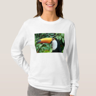 Camiseta Tucano-de-bico-amarelo