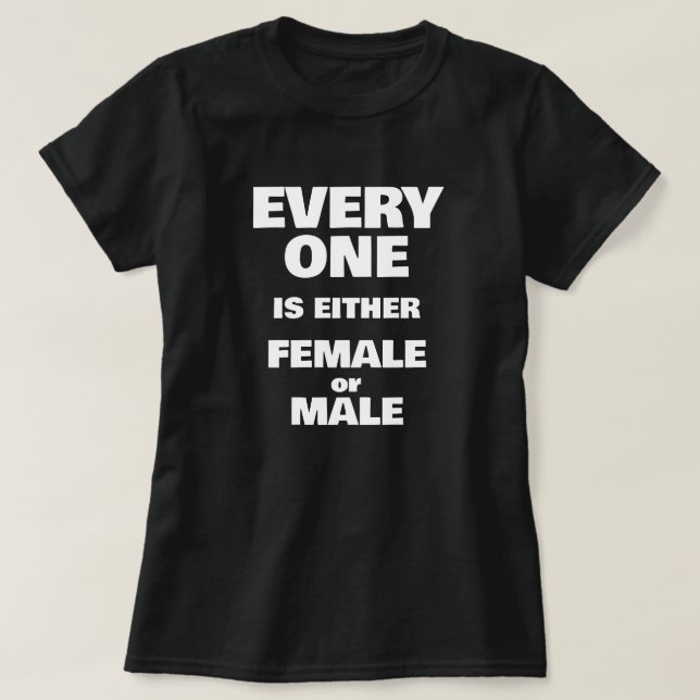 Camiseta Tudo o mais é mentira (Frente do Design)