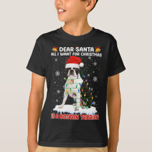 Camiseta Tudo O Que Eu Quero É Papais noeis De Boston Terri