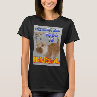 Camiseta Tudo o que quero fazer são mulheres que memem gato