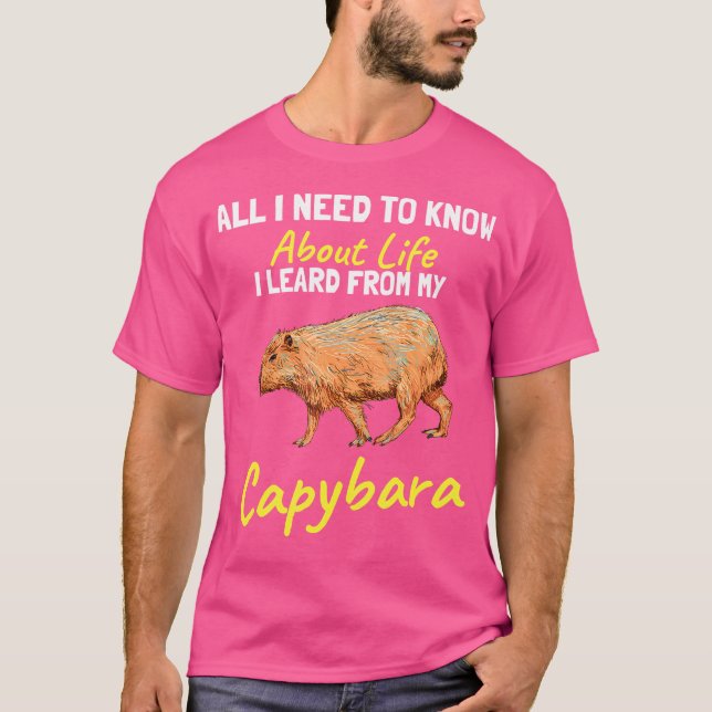 Camiseta Tudo Que Preciso Aprender Sobre A Vida Que Aprendi (Frente)
