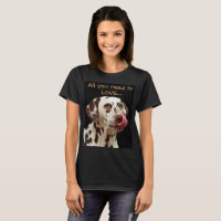 Tudo que você precisa é amor… e um dalmatian