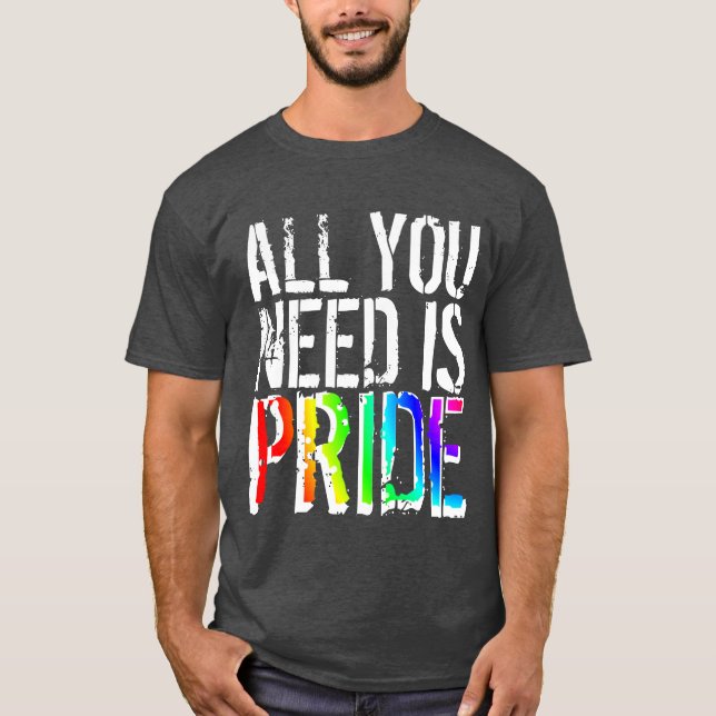 Camiseta Tudo que você precisa é do Orgulho (Frente)