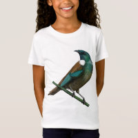 Tui New Zealands Bird