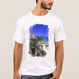Camiseta Túlio, México