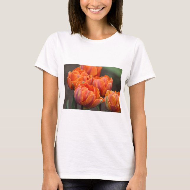 Camiseta tulipa laranja (Frente)
