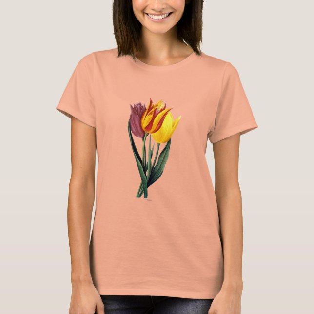 Camiseta Tulipa (Tulipa Gesneriana) (Frente)
