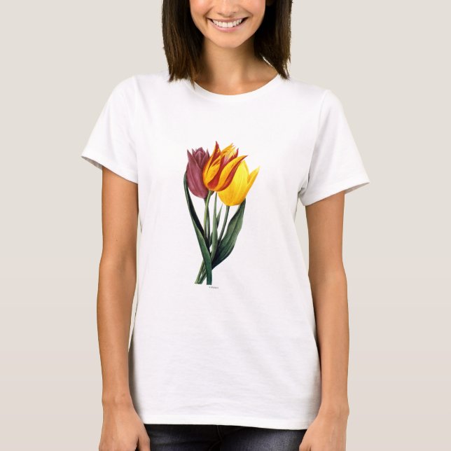 Camiseta Tulipa (Tulipa Gesneriana) (Frente)