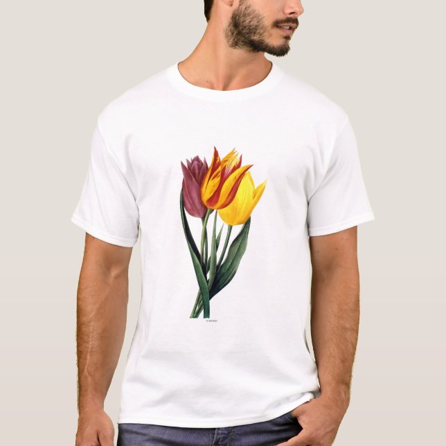 Camiseta Tulipa (Tulipa Gesneriana) (Frente)