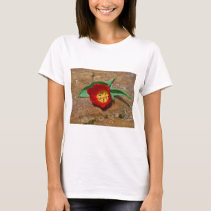 Camiseta Tulipa Vermelha primavera