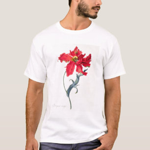 Camiseta Tulipa: Vermelho de Perroquet