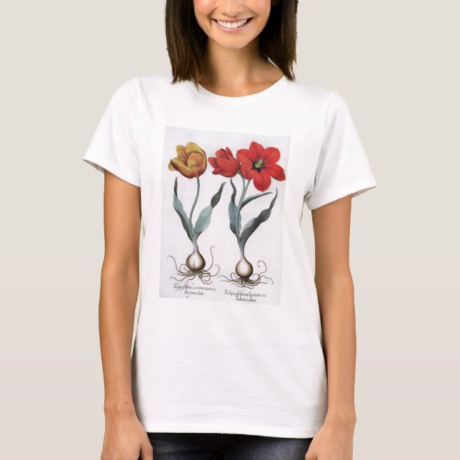 Camiseta Tulipas: 1.Tulipa globosa serotina cinnabrio color (Frente)