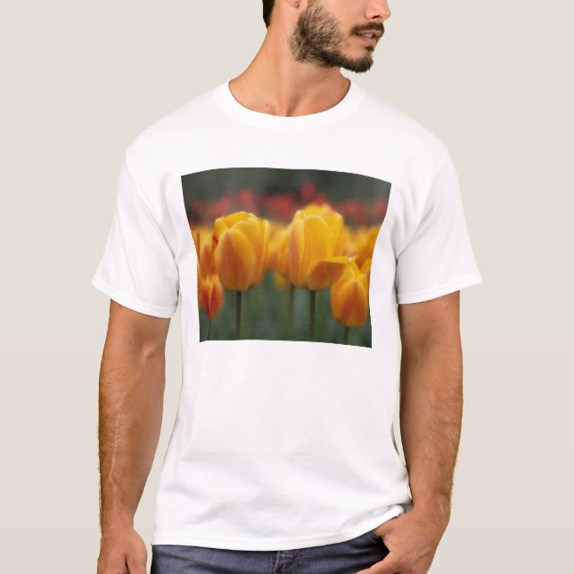 Camiseta Tulipas 2 (Frente)