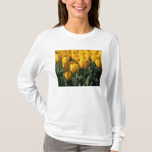 Camiseta Tulipas 3