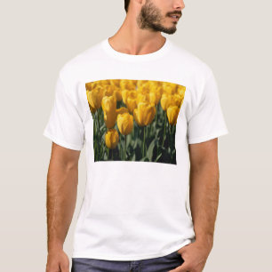 Camiseta Tulipas 3
