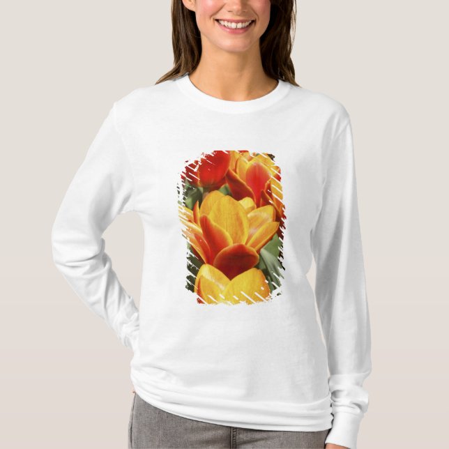 Camiseta Tulipas abundam em Keukenhof Gardens, Holanda. (Frente)