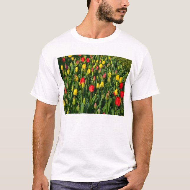 Camiseta Tulipas Coloridas (Frente)