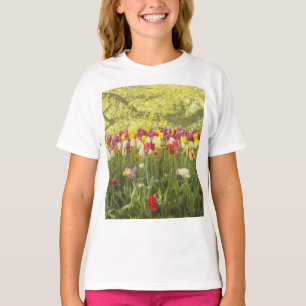 Camiseta Tulipas coloridas num parque