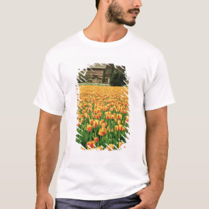 Camiseta Tulipas da primavera florescem em frente a velho c