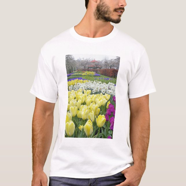 Camiseta Tulipas, daffodilos e flores de Hyacinth de Uva, (Frente)