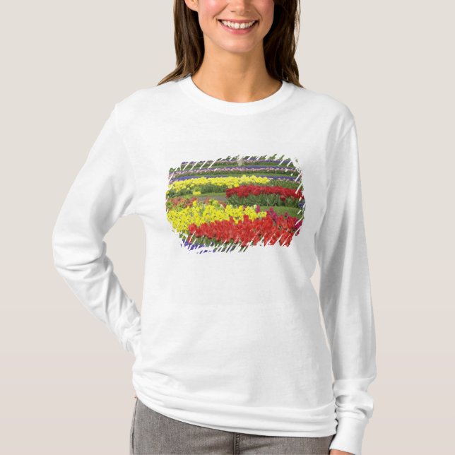 Camiseta Tulipas, Jacintos de Uva e Narcisos, 2 (Frente)