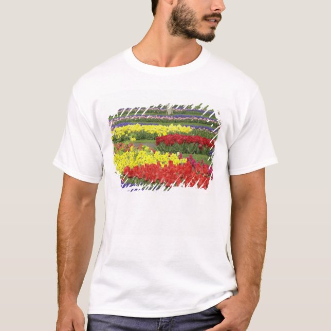 Camiseta Tulipas, Jacintos e Narcisos, 2 (Frente)