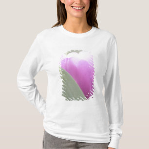 Camiseta Tulipas, Jardins Keukenhoff, Países Baixos. 2