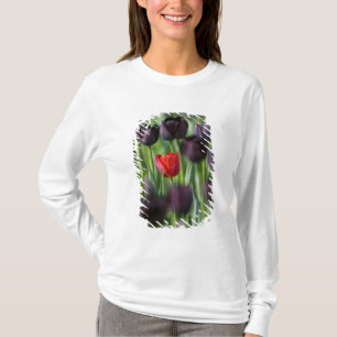 Camiseta Tulipas nos Jardins Keukenhof, Amsterdã,
