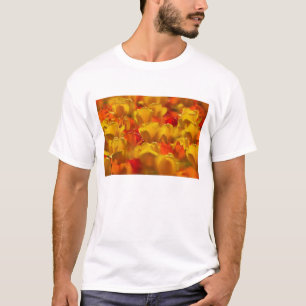 Camiseta Tulipas nos Jardins Keukenhof, Amsterdã, 2