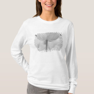 Camiseta Tulipas nos Jardins Keukenhof, Holanda.