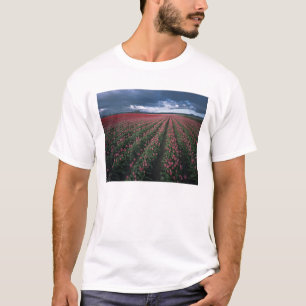 Camiseta Tulipas rosa brilhante e vermelho brilham sob o es