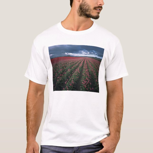 Camiseta Tulipas rosa brilhante e vermelho brilham sob o es (Frente)