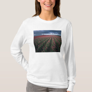 Camiseta Tulipas rosa brilhante e vermelho brilham sob o es