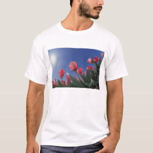 Camiseta Tulipas vermelhas de ângulo muito baixo, Cincinnat
