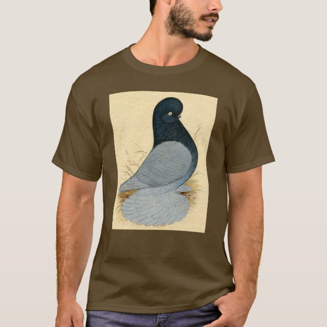 Camiseta Tumbler Pigeon Muffed Andalusian (Frente)