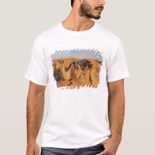 Camiseta Tunísia, Área Ksour, Ksar Ghilane, Grand Erg 5