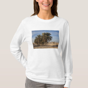 Camiseta Tunísia, Deserto do Saara, Douz, Grande Duna, palm
