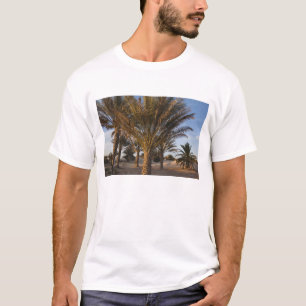 Camiseta Tunísia, Deserto do Saara, Douz, Grande Duna, palm