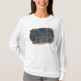 Camiseta Tunísia, Deserto do Saara, Douz, Zona Turística, 2