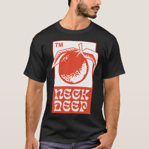 Camiseta turnê mundial neck deep The Peace And The Panic