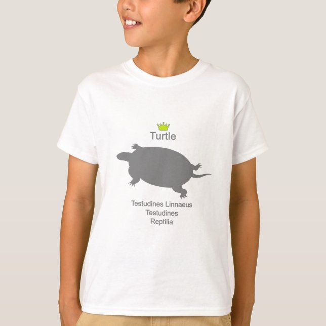 Camiseta Turtle g5 (Frente)