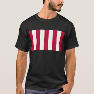 Camiseta U.S. Filhos da bandeira vertical da tira da
