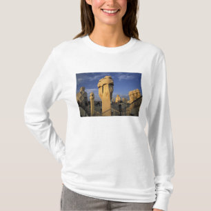 Camiseta UE, Espanha, Catalunha, Barcelona. Antonio Gaudi's